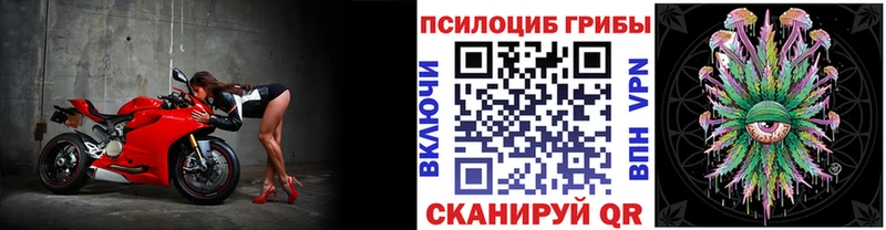 blacksprut ССЫЛКА даркнет как зайти Галлюциногенные грибы Psilocybine cubensis Хвалынск